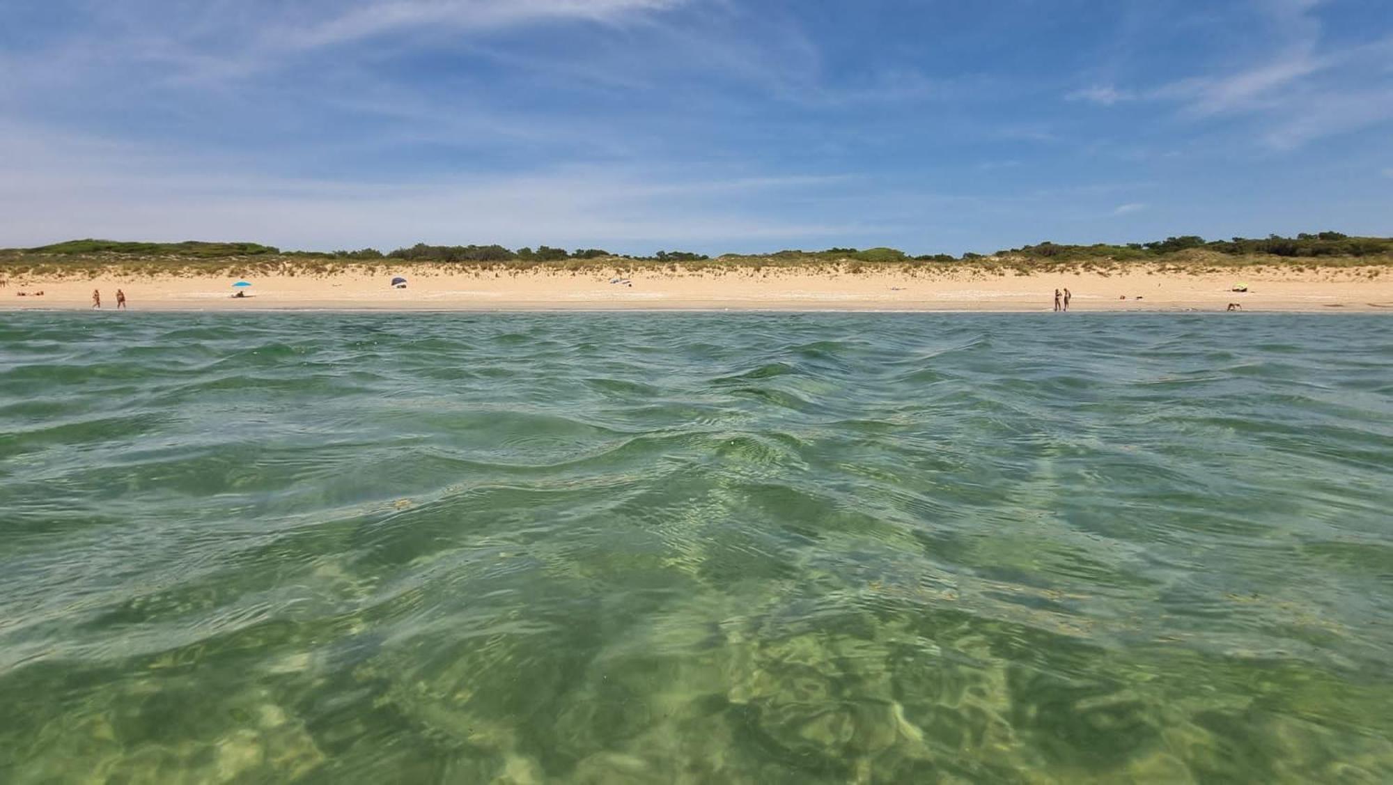 Le Chai & L'Ecurie - Gites De Charme Entre Plages Et Coeur De Village Dolus-d'Oleron Exterior photo